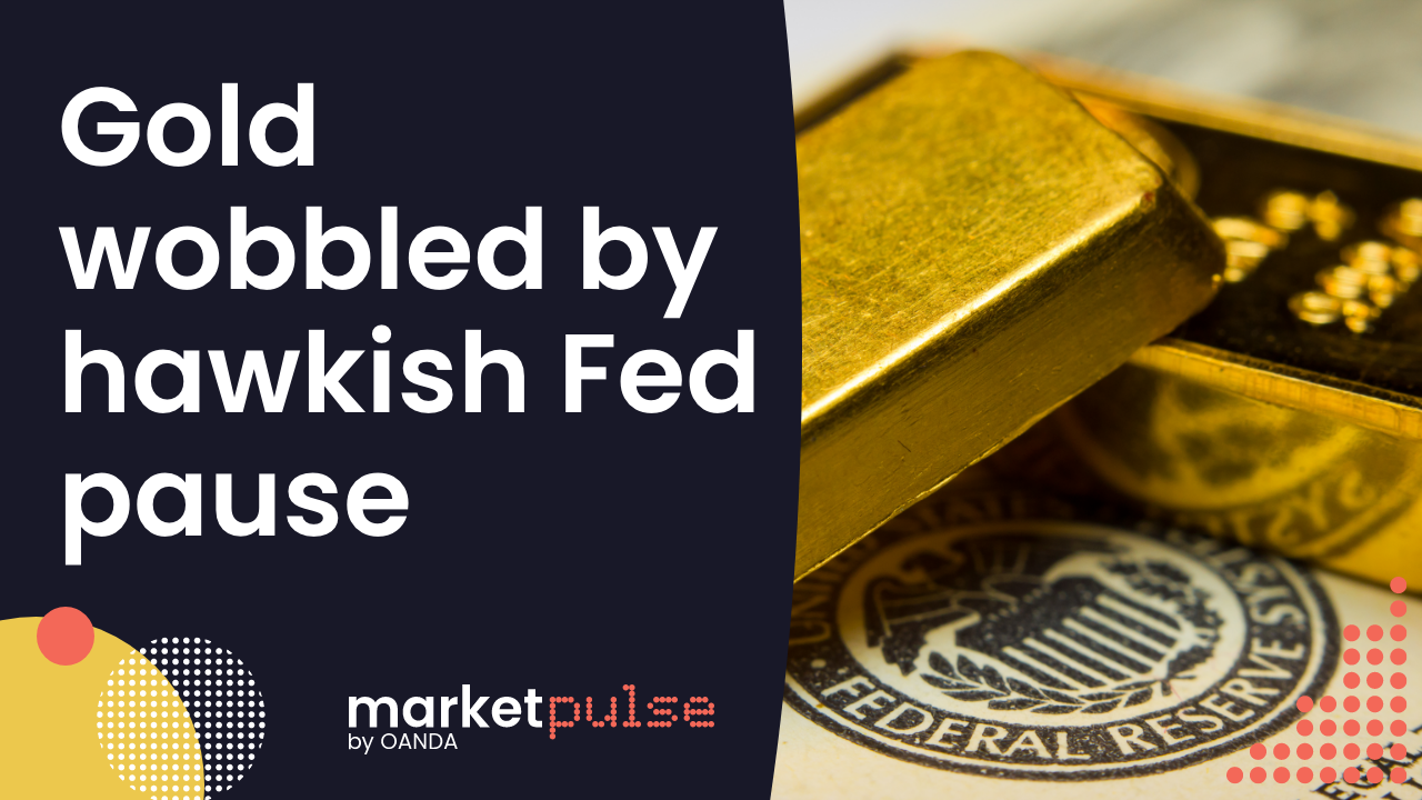 Video – Gold wobbled by hawkish Fed pause